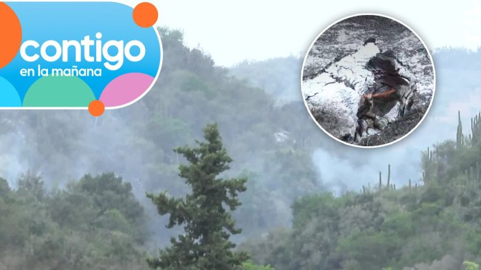 VIDEO | Registran reactivación de focos de incendio en San Pedro de Melipilla