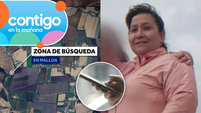 Su celular se perdió: Los nuevos antecedentes detrás de la angustiosa desaparición de Luz Espinoza