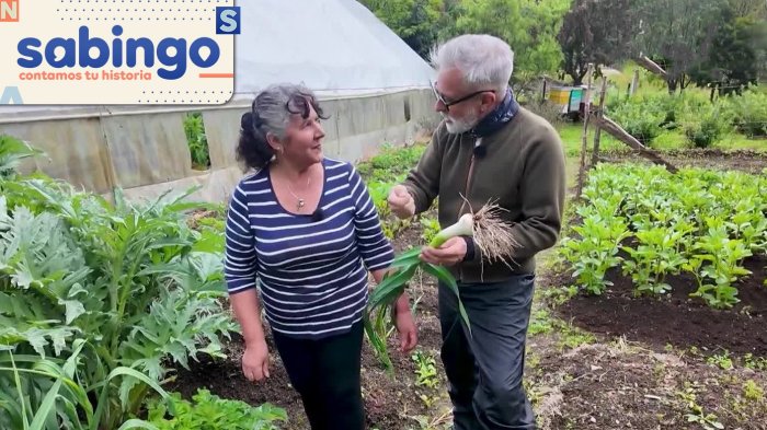 Cocinando en la Ruta Austral: Sergi Arola quedó deslumbrado con la belleza de La Junta y Puyuhuapi