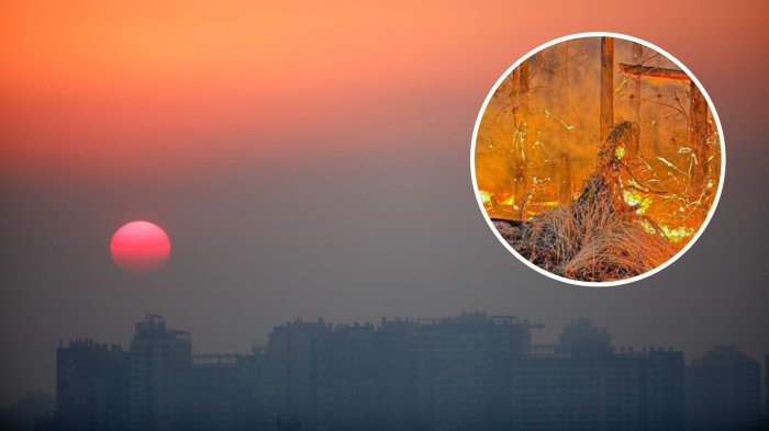 Incendio forestal en San Pedro ha afectado 1.870 hectáreas: Hay 5 damnificados y 3 viviendas consumidas