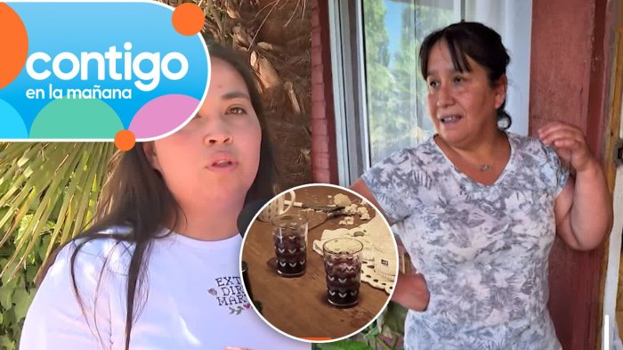 “No consume alcohol”: Sobrina de Luz Espinoza acusó montaje para desviar búsqueda en Malloa