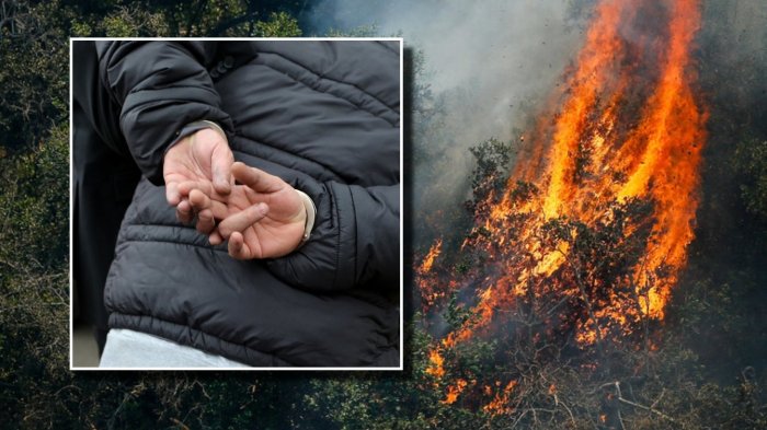 Detienen a presunto autor de incendio forestal de San Pedro: Destapan posible causa