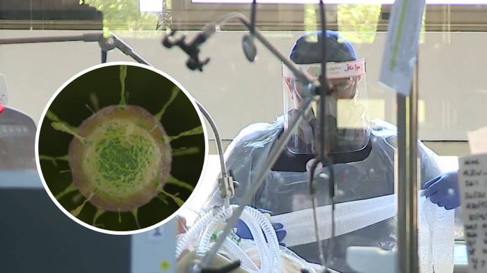 Alerta por “súper gripe” en Chile: ¿Qué es la influenza H3N2 que ya tiene un caso en el país?