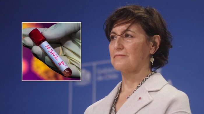 “No es un virus pandémico”: Ministra de Salud anuncia medidas por “súper gripe” H3N2 en Chile