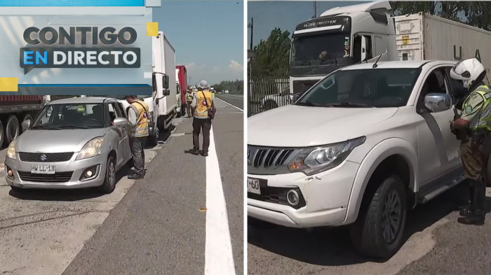 Alta congestión por fiscalización en ruta 78 previo a fin de año: Conductor fue sorprendido sin licencia