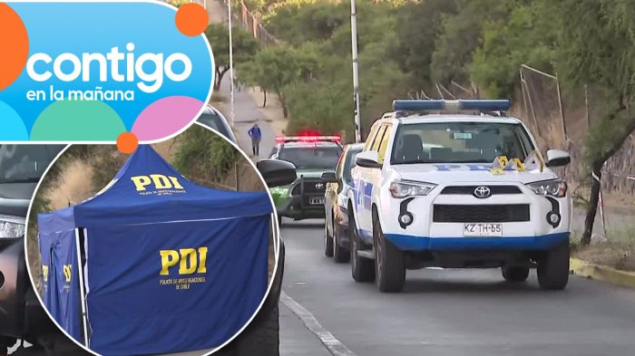 Ejecutado en la vía pública: Hombre fue encontrado baleado y maniatado en Peñalolén