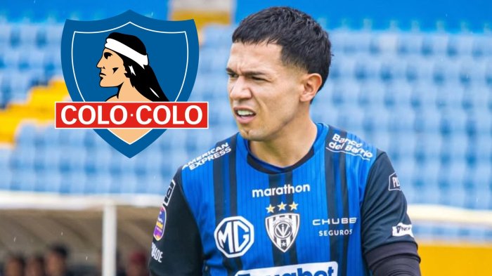 Colo Colo se arma para el 2026: Directorio aprobó la llegada de Matías Fernández