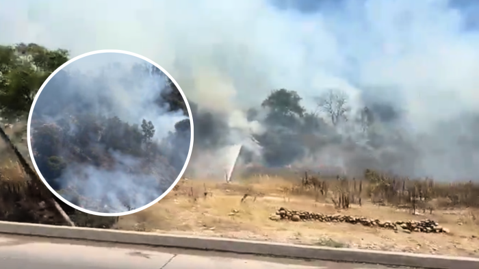 Emergencia en La Serena: Incendio en Parque Coll activa alerta roja y llaman a evacuar población colindante