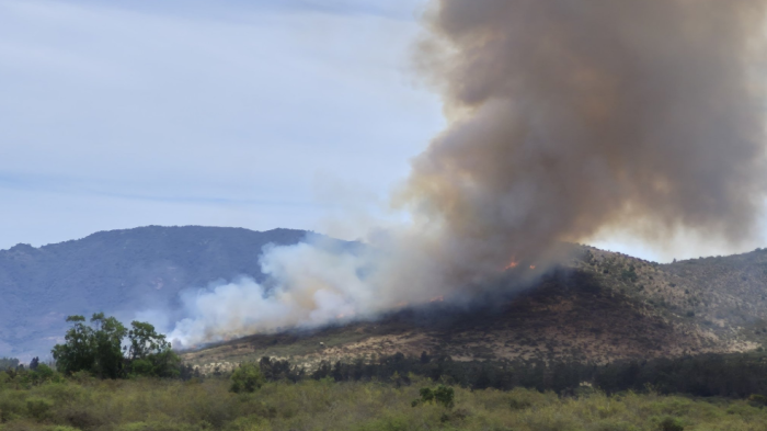 100 hectáreas afectadas: Revelan video del gran incendio forestal en el sector de La Foresta de Zapallar