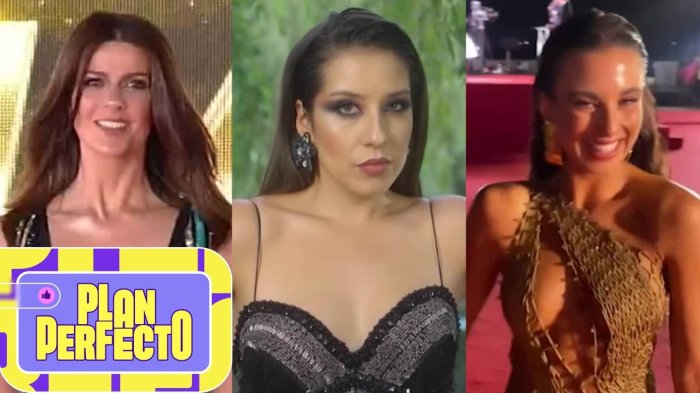 ¿Quién será la carta favorita? Las rostros que podrían animar la próxima Gala del Festival de Viña