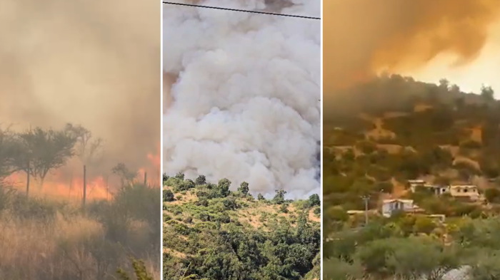 🔴 Emergencia en Litueche: Obligan a evacuar por incendio forestal que amenaza viviendas