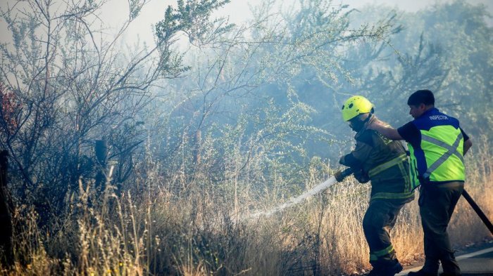Alerta Roja en Maule: Incendio forestal ha consumido dos casas y más de mil hectáreas