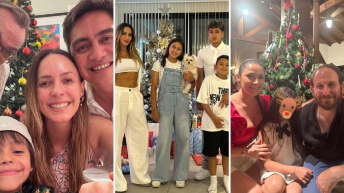 FOTOS | Famosos compartieron íntimas postales de sus celebraciones navideñas en redes sociales