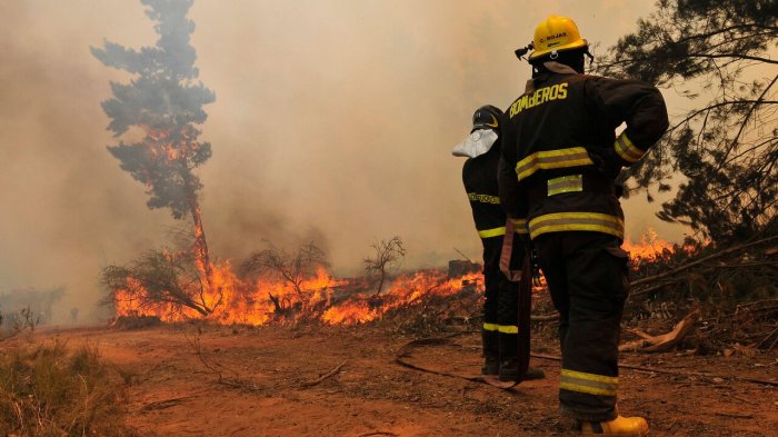 Fuego asola a la región de O'Higgins: Alerta roja por incendios forestales en Pichidegua y Maule