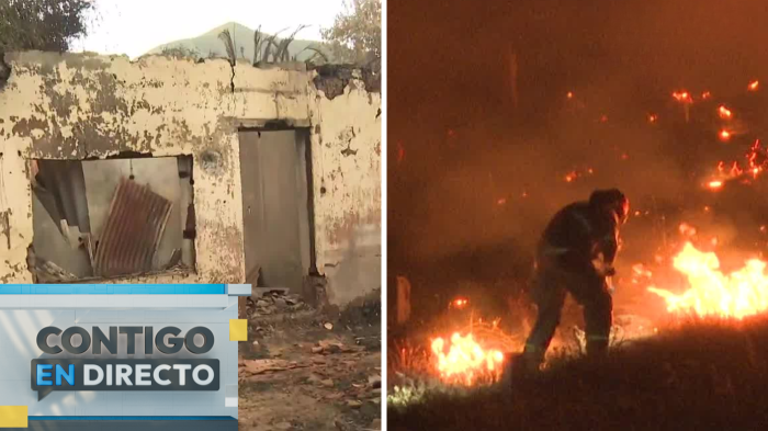 Se mantiene alerta roja en Pichidegua por incendios forestales: Cerca de 200 hectáreas afectadas
