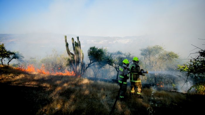CONAF actualiza estado de incendios forestales en el país: Nueve se mantienen activos