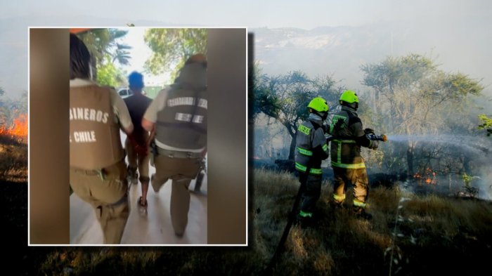 En flagrancia: Detienen a sujeto intentado iniciar nuevo incendio forestal en Maule