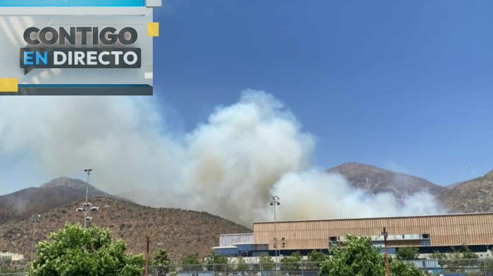 Alerta por incendio forestal en San Carlos de Apoquindo: 12 Compañías de Bomberos acudieron al siniestro