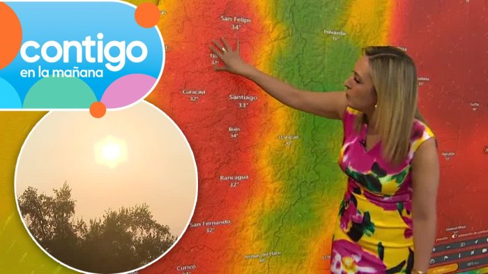 Hasta 42° en O'Higgins: Allison Göhler advierte temperaturas extremas en la zona central