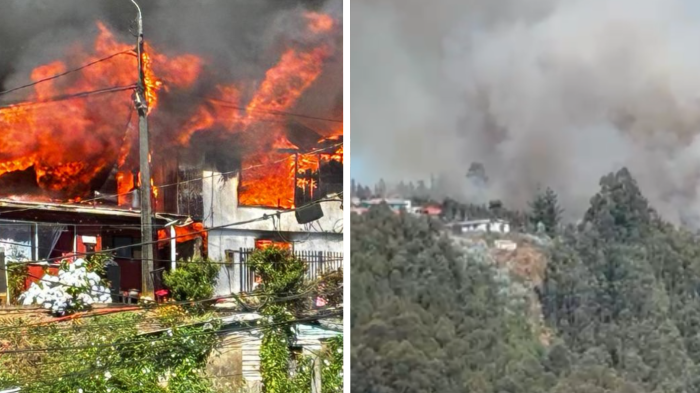 Alerta Roja en Tomé por incendio forestal: Llamas se propagaron desde casa hasta bosque cercano