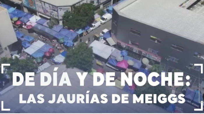 Funcionan de día y de noche: Así operan las jaurías de Barrio Meiggs