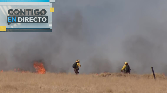 Alerta por incendio cerca del Aeropuerto de Santiago: Bomberos combate el fuego en Camino Noviciado