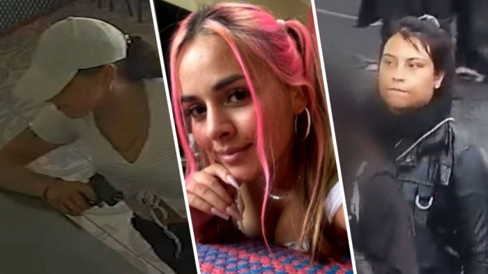 De la “pistolera de Conchalí” a la “Karol G chilena”: El perfil de peligrosas mujeres delincuentes