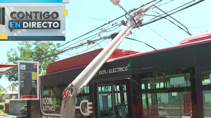 Poste cayó sobre bus RED en Peñalolén tras incidente en paradero: Vecinos afirman que es repetitivo