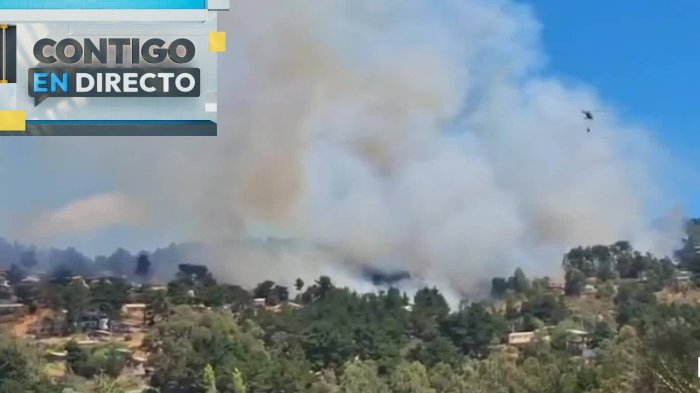 Incendio forestal con peligro de propagación en Laguna Verde: Senapred decreta alarma de evacuación