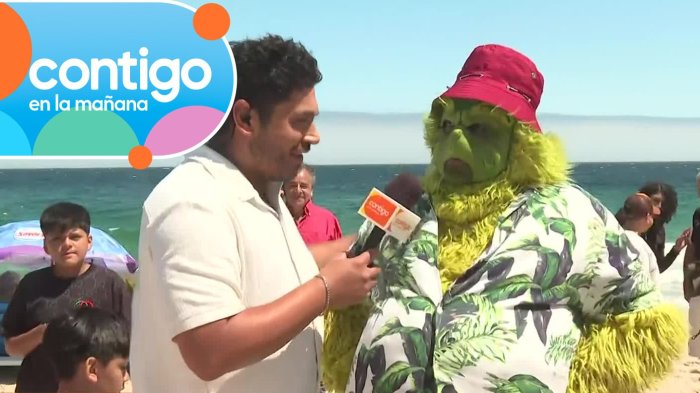 ¡Preparado para el verano! El Grinch hizo de las suyas en la playa El Quisco