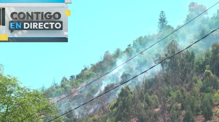 Incendio forestal en San Cristóbal: Parque Metropolitano cierra sus puertas por el siniestro