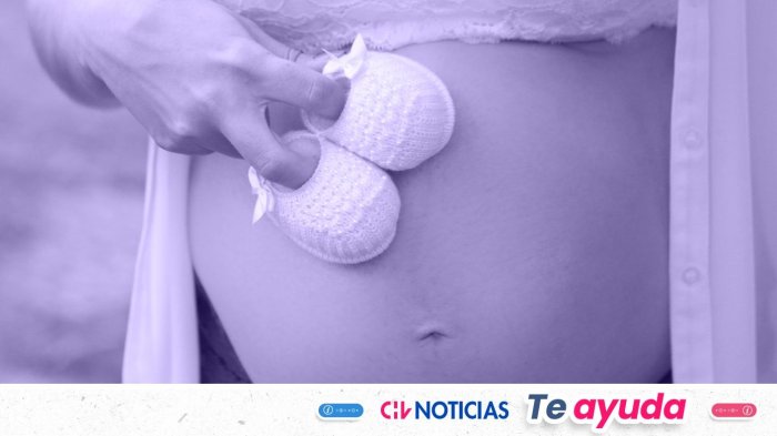 Si estás embarazada puedes recibir estos bonos del Estado en enero 2026: Montos y cómo postular