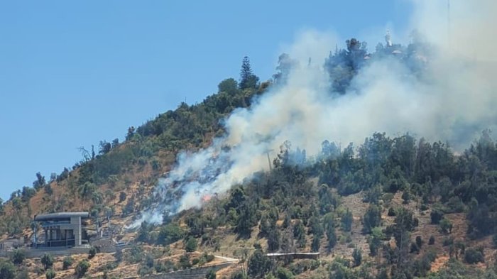 Cierran Parque Metropolitano por incendio forestal en cerro San Cristóbal: Ha consumido 1 hectárea