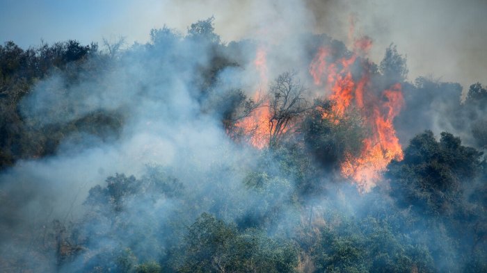 Senapred decreta Alerta Roja en Lonquimay por incendio forestal