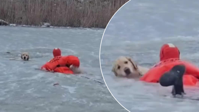 VIDEO | Heróico rescate a perro que sobrevivió atrapado en un lago congelado en EEUU