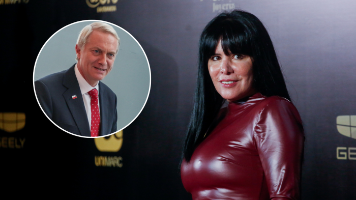 Anita Alvarado defendió su voto por Kast: 