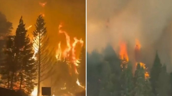 Catástrofe en la Patagonia argentina: Incendios forestales han consumido más de 4 mil hectáreas