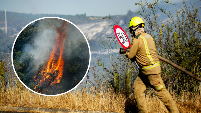Acusan a bombero y funcionario de Conaf de iniciar incendio forestal: fue denunciado por su propia compañía
