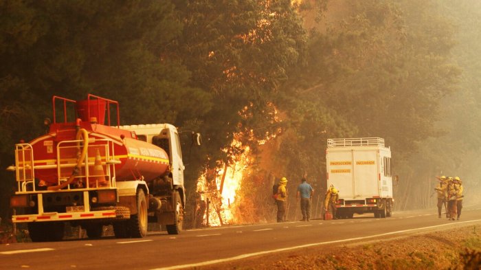 Alerta roja por incendio en Cauquenes: Reportan 400 hectáreas afectadas y viviendas destruidas