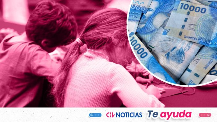 IPS entrega $22 mil sin postulación: Revisa cómo solicitar el Subsidio Familiar 2026