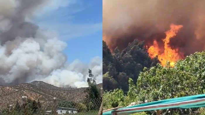 Senapred declara alerta roja en Melipilla por incendio forestal