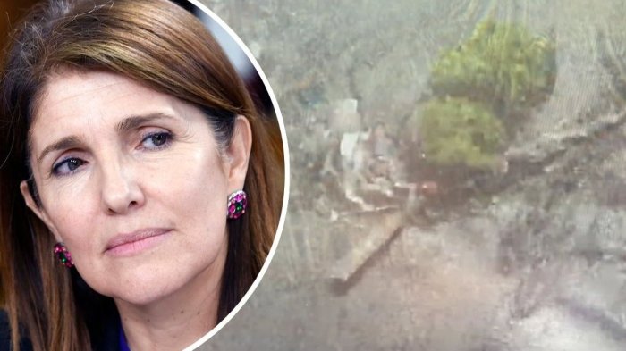 Aferrados a un tronco: Detallan rescate de Paula Narváez y su familia tras accidente en kayak