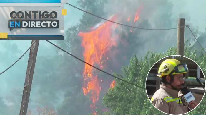 Alerta roja en Melipilla por incendio forestal descontrolado: “Estamos con todos los recursos…”