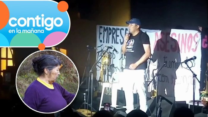 “Que nos estén culpando a nosotros...”: El descargo de hijo de Julia Chuñil durante concierto