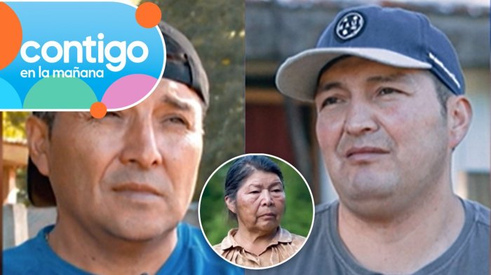 “Le traspasó el terreno a...”: Desclasifican la relación entre hijos de Julia Chuñil previo a desaparición