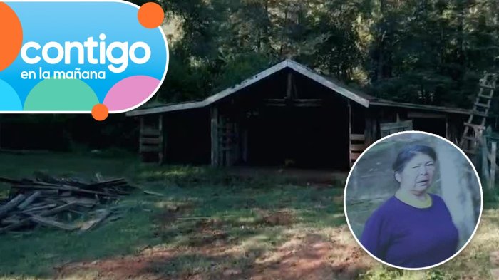 “Nos estaban mintiendo”: La declaración de testigo clave que despertó sospechas por caso Julia Chuñil