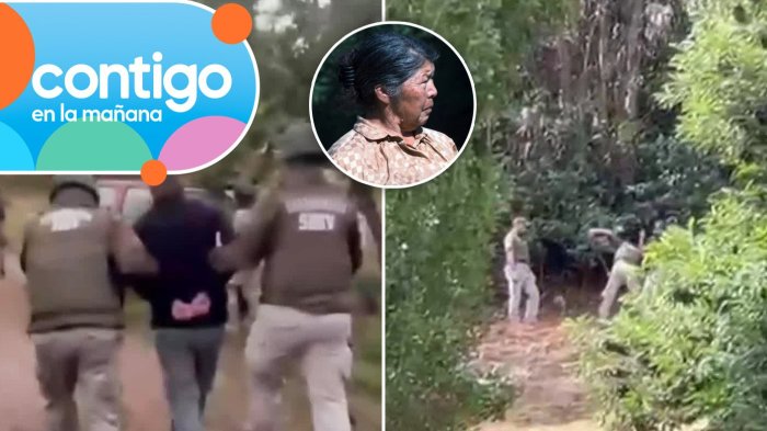 Tras detención de hijos de Julia Chuñil: Carabineros realiza excavación en medio de búsqueda