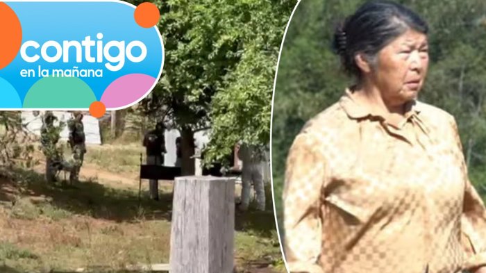 Testigo reservado detalló “pelea” y datos que dieron vuelco a búsqueda de Julia Chuñil: “Ocurrió de noche...”