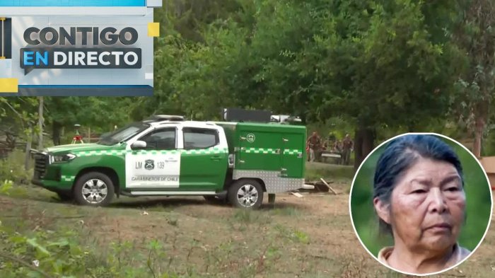 Intensifican excavaciones en casa de Julia Chuñil: Encontraron su carnet en propiedad de un imputado