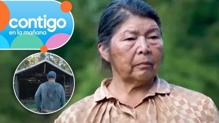 “Hay evidencia…”: Los antecedentes que complicarían a los tres hijos y exyerno de Julia Chuñil